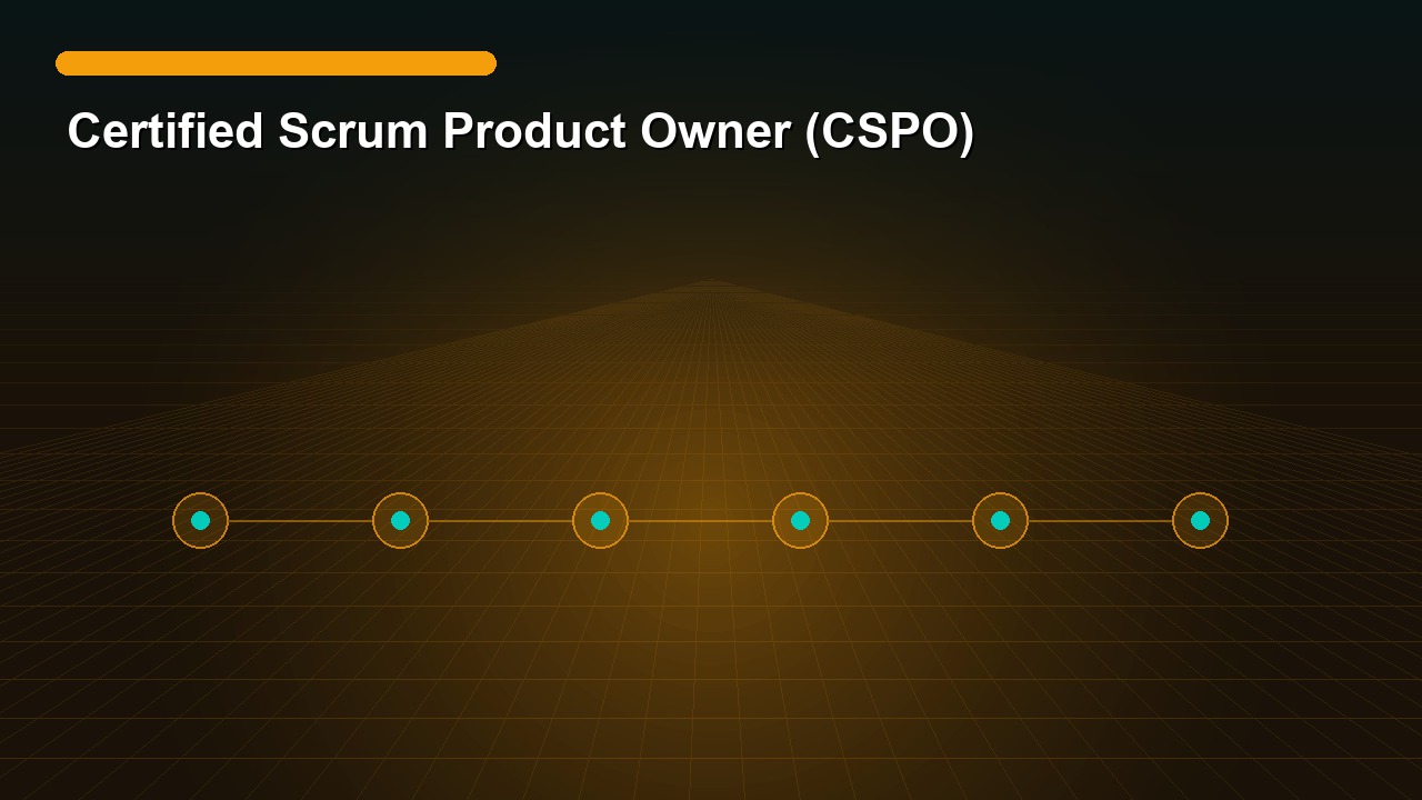 Certified Scrum Product Owner (CSPO)